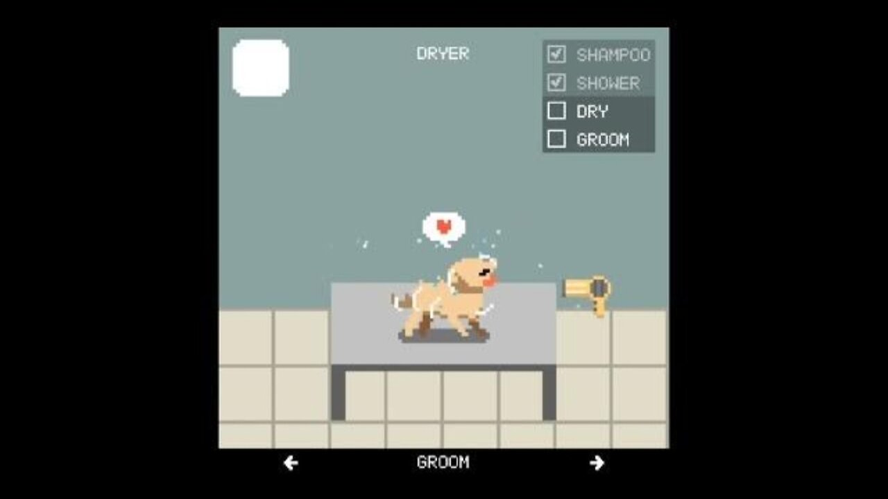 Scrub A Dub Dub! | Dog wash.