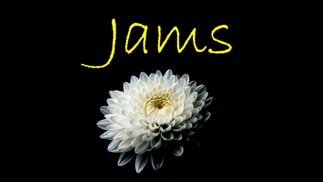 5|19|24 (Short Takes Band Jam Session)