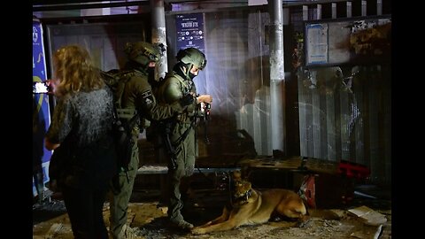 In recent days, amid the conflict with Iran, the IDF's Oketz canine unit has assisted
