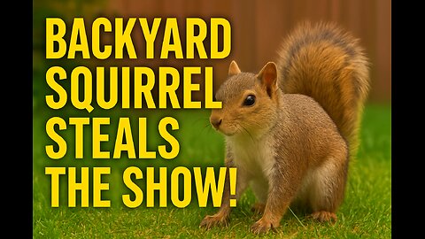 Playful Squirrel in the Garden