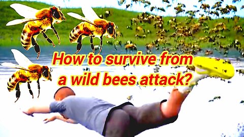 How To Survive From A Wild Bees Attack