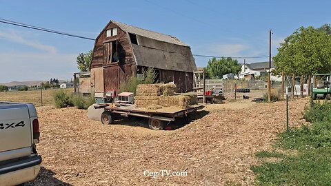 Graham Family Farm NW: 1:35 PM August 25 2025