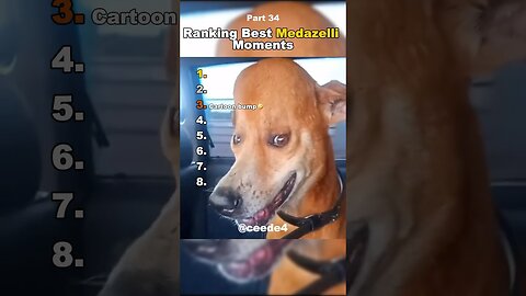 Funniest Medazelli#ranking #medazelli #tiktok