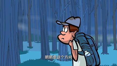 阿婆的便当