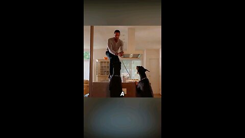 The thief was blocked in the house by the dog and had no choice but to call the police. #futurelink