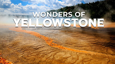 Yellowstone National Park - All You Need to Know about the place! #yellowstone #nationalpark