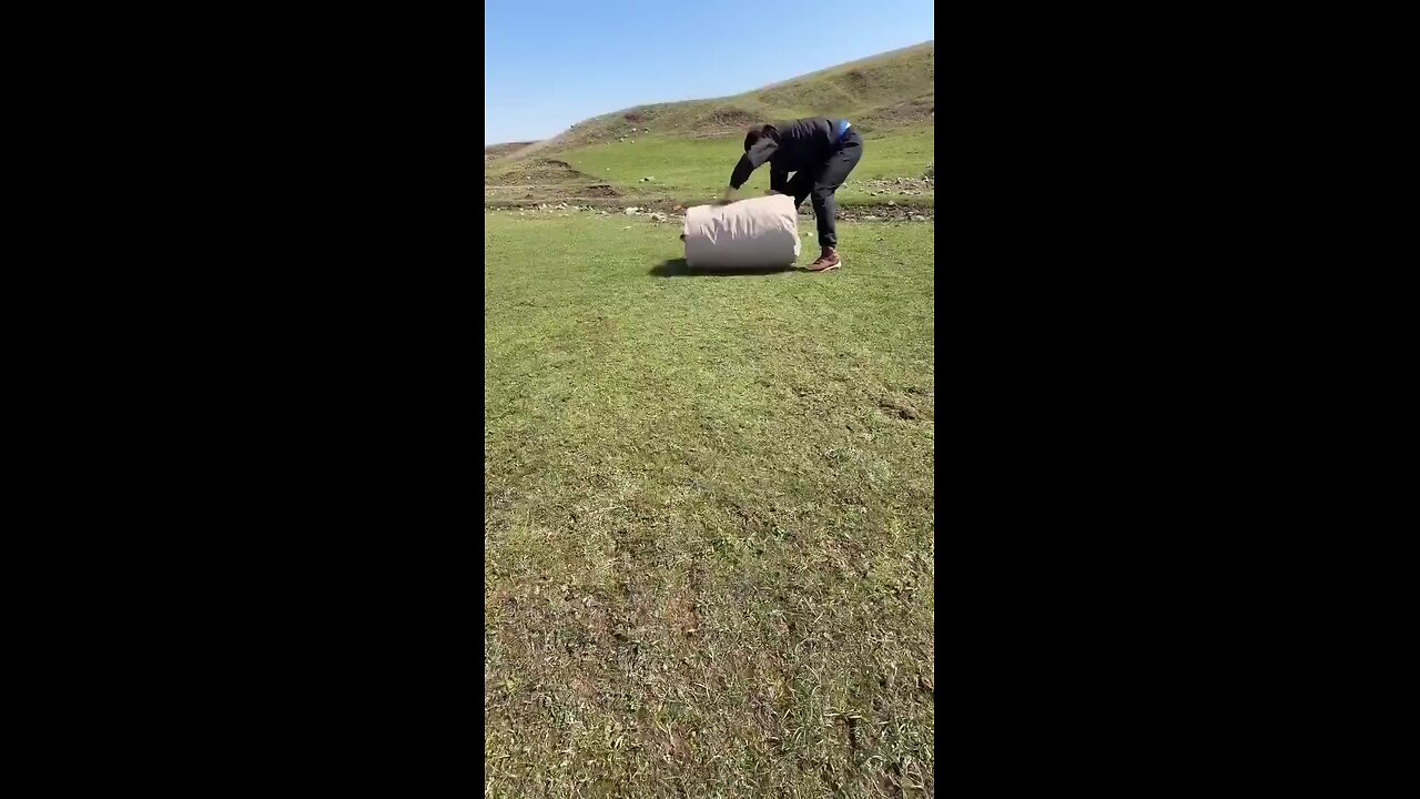 Nature is amazing 🤩