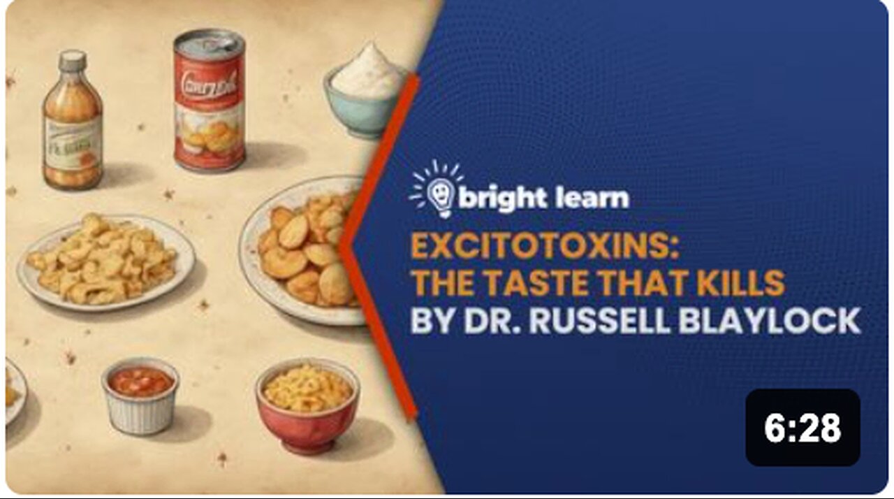 BrightLearn - Excitotoxins: The Taste That Kills by Dr. Russell Blaylock