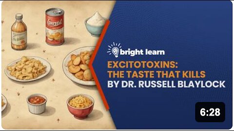 BrightLearn - Excitotoxins: The Taste That Kills by Dr. Russell Blaylock