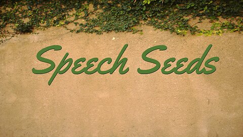 Speech Seeds - Sermon