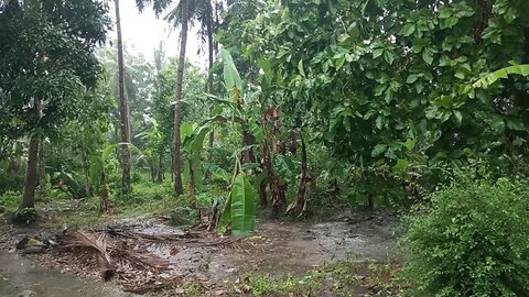 This Village Rain Will Calm Your Mind Instantly