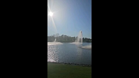 My Peaceful Place - What not to Say to a Pizza Delivery Person (If you Don't Tip or you Tip Poorly)