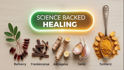 5 Science-Backed Herbs That Support Natural Healing