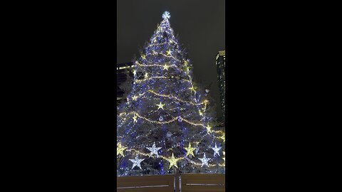 Stunning Christmas Tree in Downtown Toronto 2025 | Holiday Magic in the Heart of the City