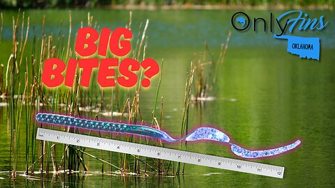 Pond Fishing Only Using ONLY A 12 Inch Worm