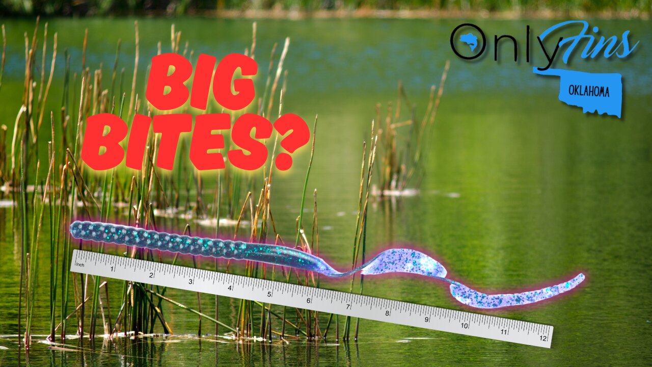 Pond Fishing Only Using ONLY A 12 Inch Worm