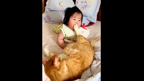 A frustrated cat uses its feet to quiet a crying baby.🤣