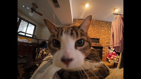 Nomadic Fanatic Drama BlindViews wants 2 fight