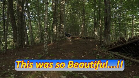 3 - Peaceful Mountain Scenery in The Jefferson National Forest in 4K