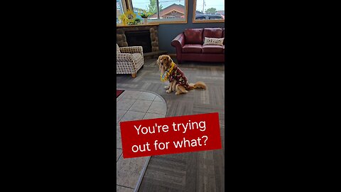 You're trying out for what?