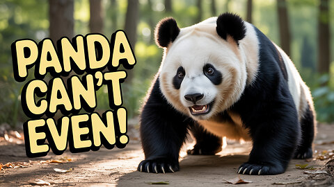 Funny Panda