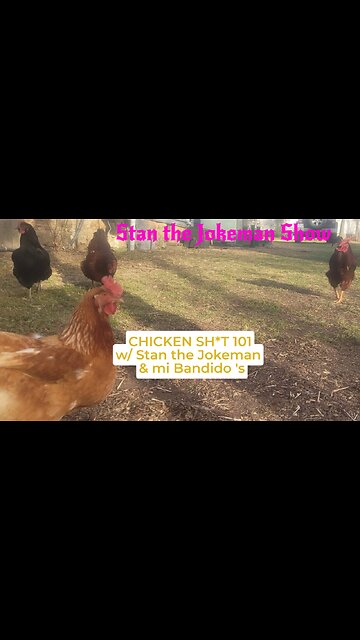🐔 Chickens 101: 🐔 Switch Propert Lines & I Got Wood