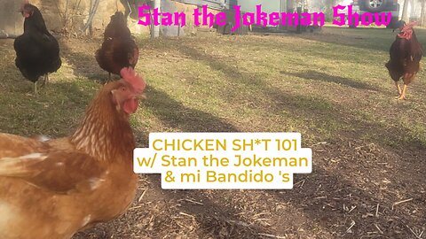 🐔 Chickens 101: 🐔 Switch Propert Lines & I Got Wood