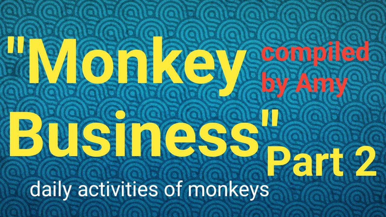 "Monkey Business" daily activities of monkeys" part 2 by Khalil