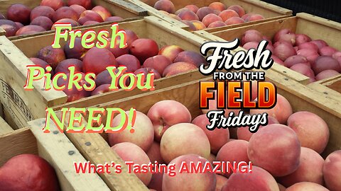 Fresh From The Field Fridays 7.25.2025