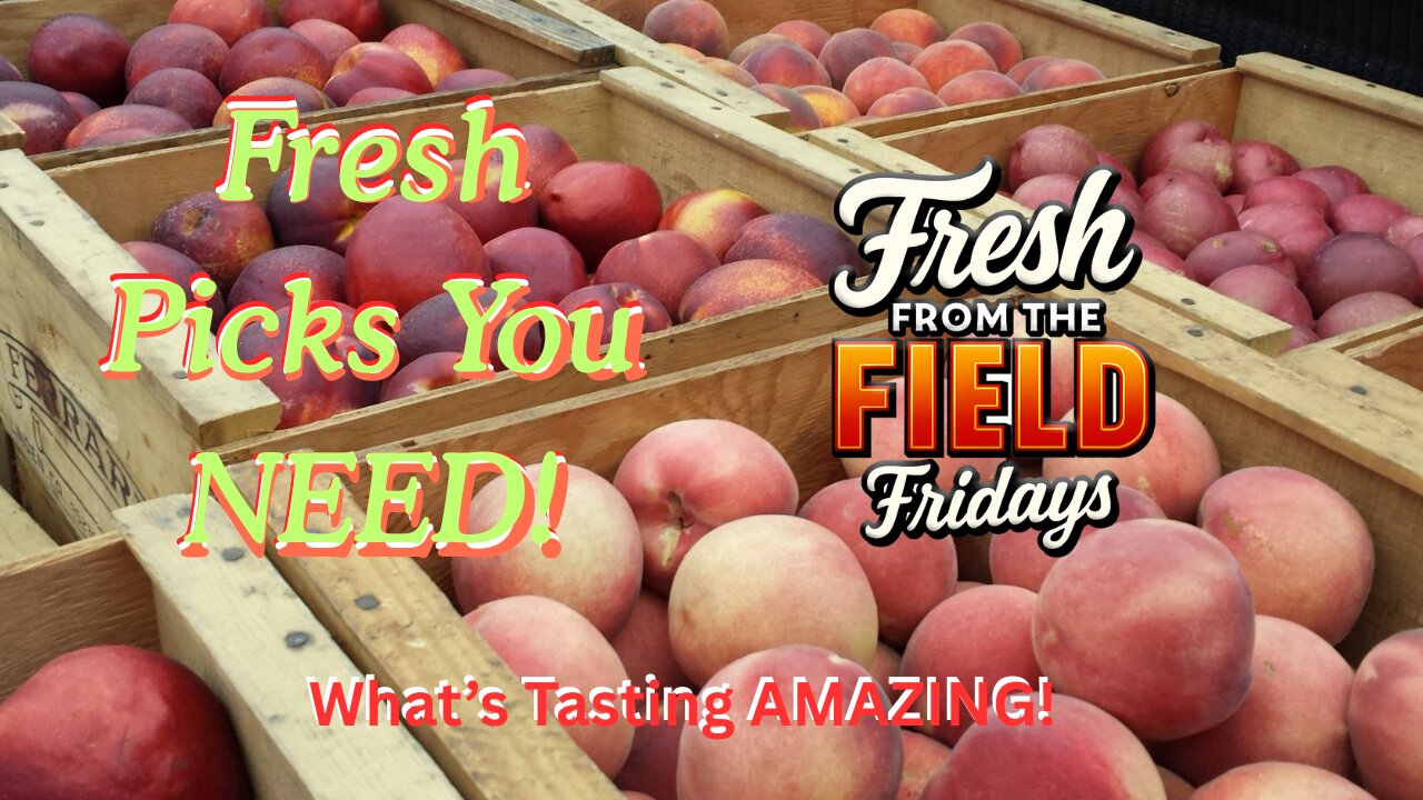 Fresh From The Field Fridays 7.25.2025