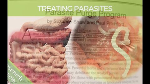 PARASITE 🦠 PURGE ❌ PROGRAM
