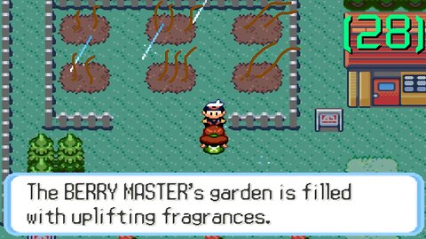 Pokémon Ruby - Walkthrough/Videonávod - 28 - [EN/CZ]