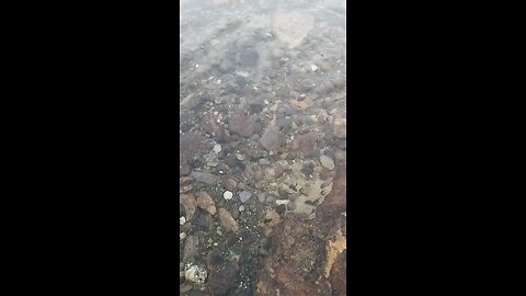 beautiful lake