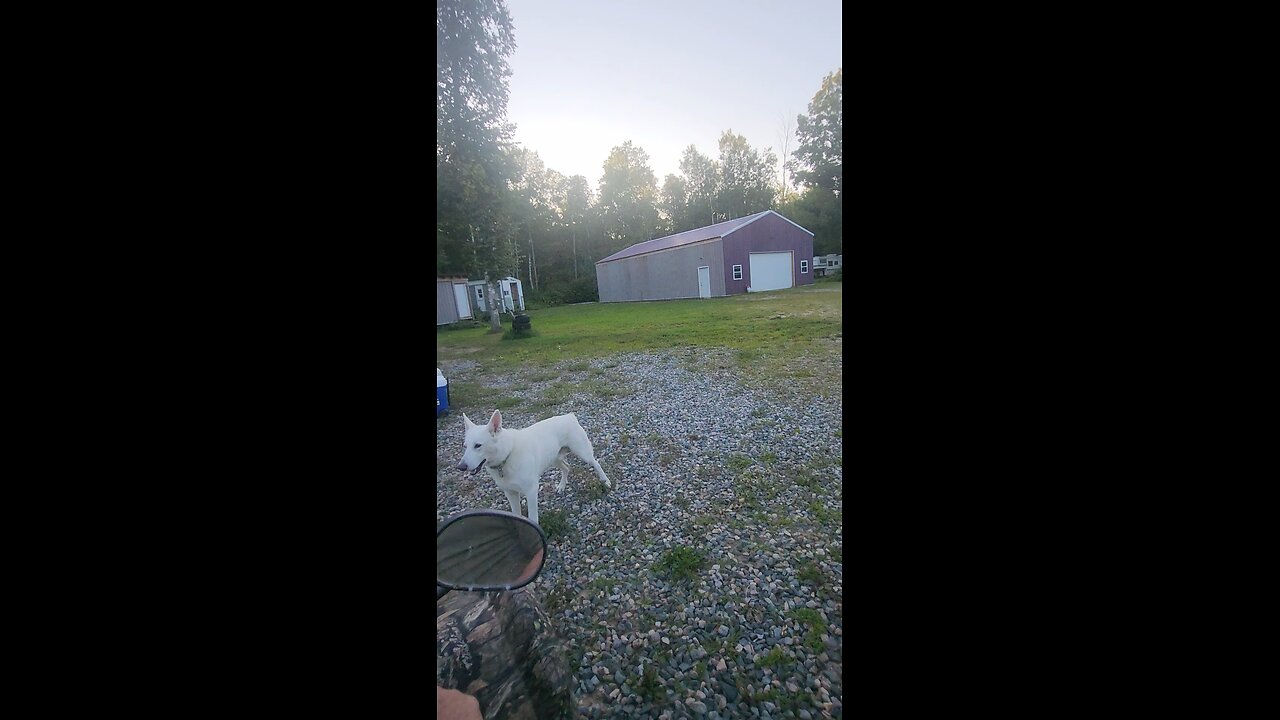 running the pack