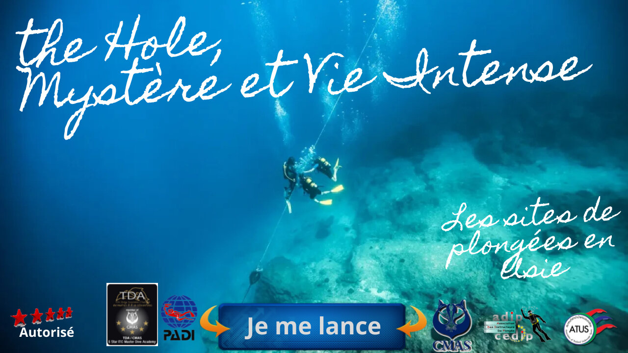 🌸 Plongée au Trou de Samae San, the Hole, Mystère et Vie Intense dans les Profondeurs