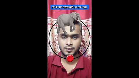 হাতিটি জোড়া লাগান ৪৭ #reels #challenge #puzzle
