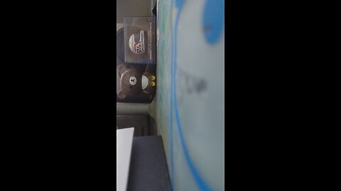 2025-11-5 比丘尼與台灣戒律鬆散問題