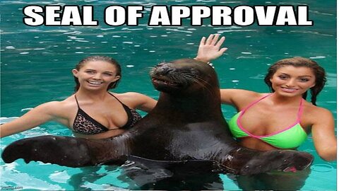 Former SEAL Commander Arrested for Sedition and Treason + Parsley Blocks Cancer’s Backup Fuel Source