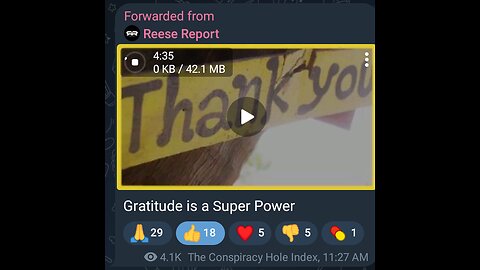 Greg Reese talks Gratitude