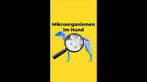Mikroorganismen beim Hund 🔬🧫 🐶