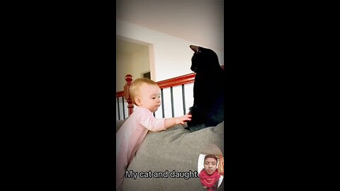 #catlovers #cat #cats #meow #kittens #catlife #pet #animals #animallover #cutecats #catviral