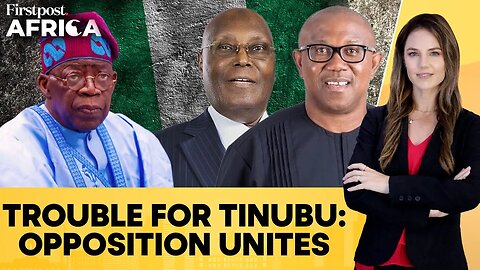 Nigeria: Tinubu In Trouble As Opposition Leaders Atiku Abubakar, Peter Obi Unite | Firstpost Africa