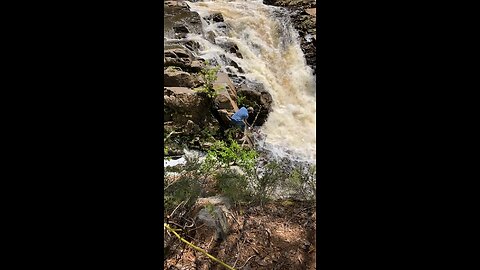 Gaspereau