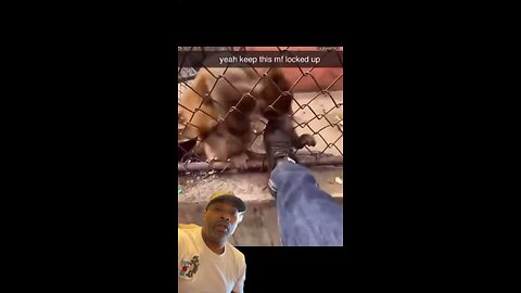 FURIOUS GEORGE