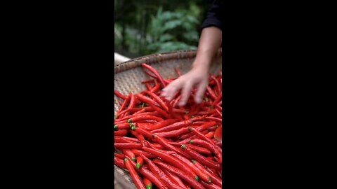 Taste the Heat! Red Chilli Aachar in 5 Minutes 🌶️⏱️ #QuickRecipe 🍽️ #SpicyDelight 😋 #RedChilliMag