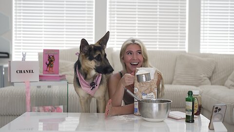 German Shepherd Makes Cupcakes