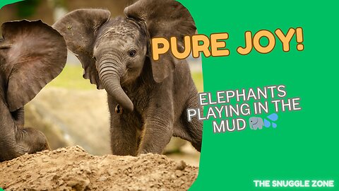 Baby Elephants' Muddy Playtime 🐘💦 | Adorable Moments in the Wild