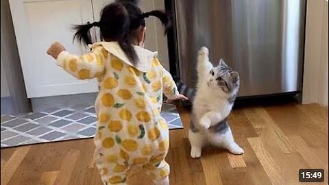 The Most dramatic cats moments ever! 😂🤣 Funny Cat Videos 2025