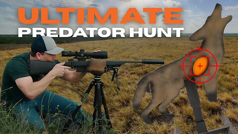 Ultimate Predator Challenge: Who Will Win?
