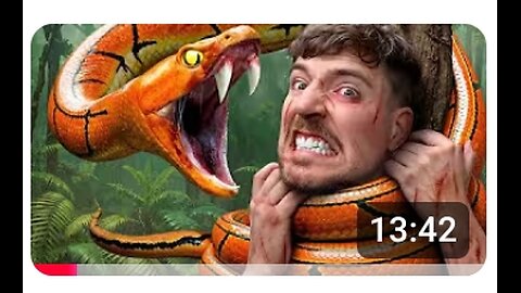 Mrbeast survived 5 deadliest places in earth hindi dubbed